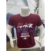 Koszulka męska Turecka      250523-2477    Roz L-3XL     Mix Kolor   